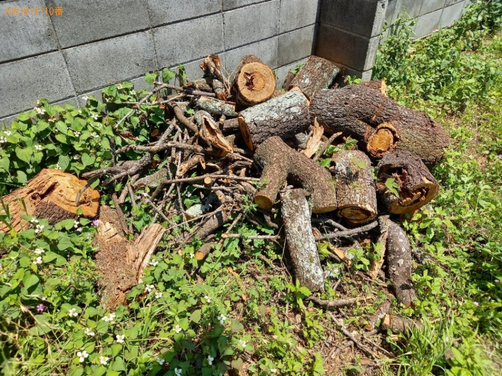 【徳島市南佐古四番町】切った木の回収・処分ご依頼　お客様の声