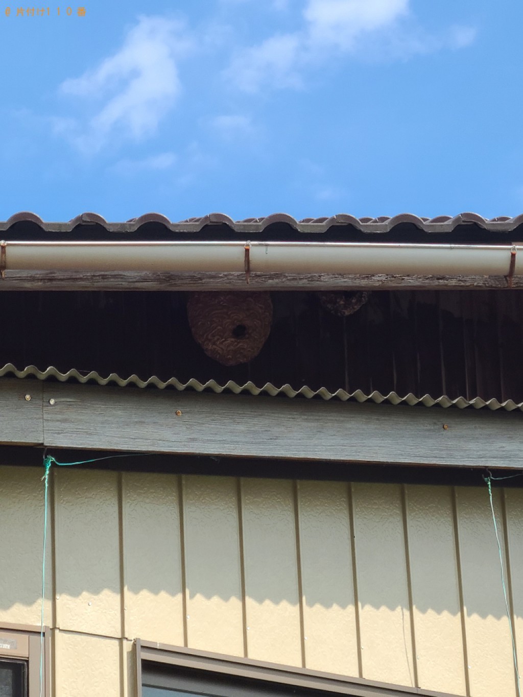 スズメバチ駆除ご依頼　お客様の声