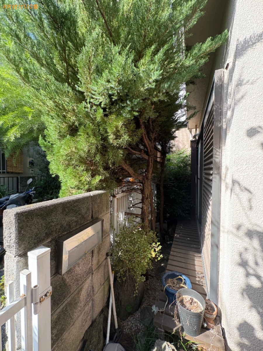 木の伐採作業と鉢植え、消火器、伐採した木の回収・処分ご依頼