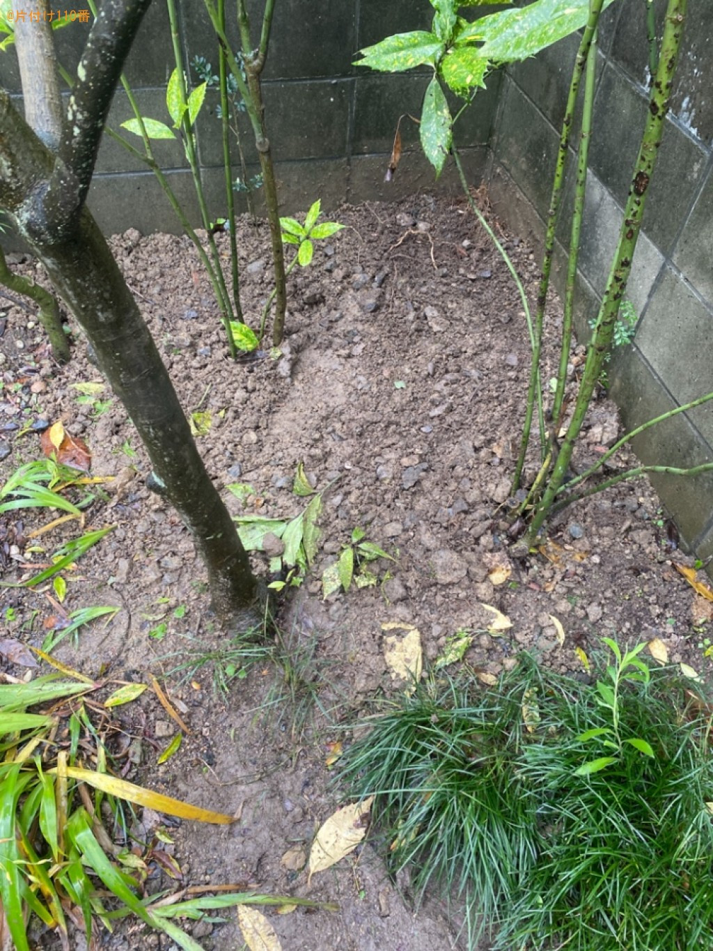 庭石の回収・処分ご依頼　お客様の声