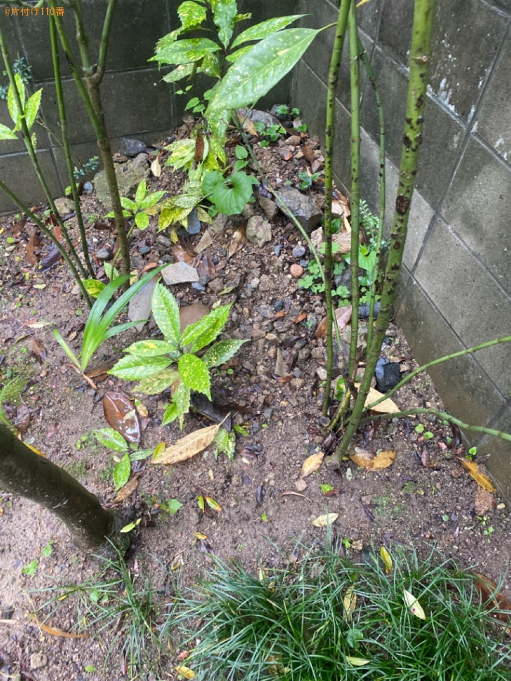 庭石の回収・処分ご依頼　お客様の声